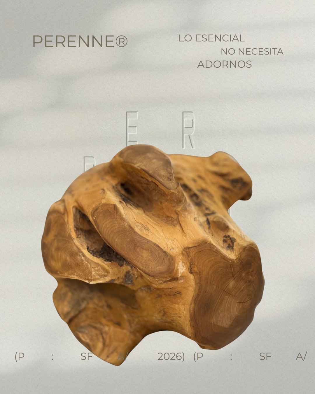 sin título (post para instagram (45))
